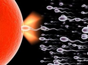 sperma yang sihat